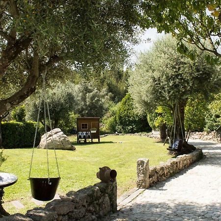 Quinta Do Meira Braga Kültér fotó